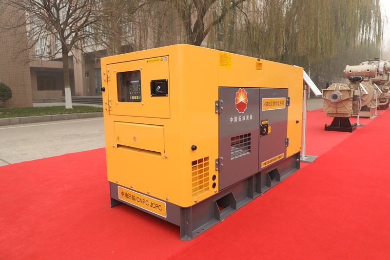 HSEE Natural Gas Genset