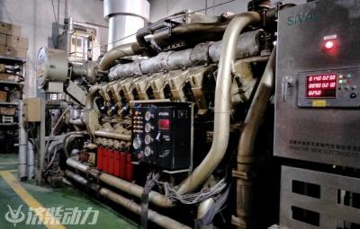 natural gas generator